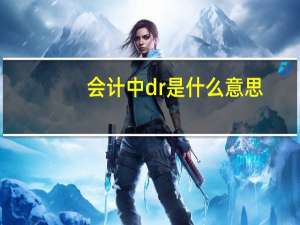 会计中dr是什么意思