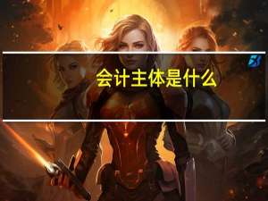 会计主体是什么