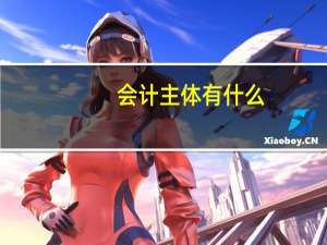 会计主体有什么