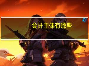 会计主体有哪些