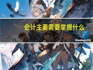 会计主要需要掌握什么