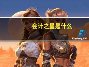 会计之星是什么