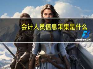 会计人员信息采集是什么（会计人员信息采集是什么意思）
