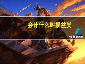 会计什么叫损益类