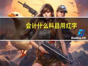 会计什么科目用红字