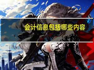 会计信息包括哪些内容