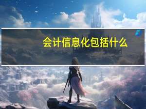 会计信息化包括什么