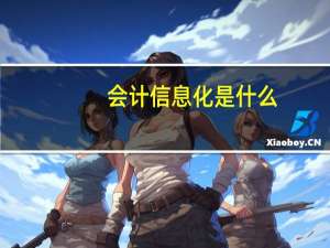 会计信息化是什么