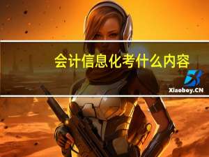 会计信息化考什么内容