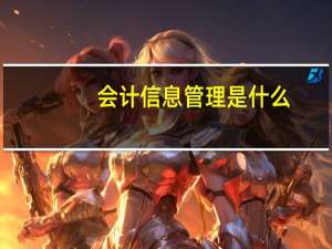 会计信息管理是什么