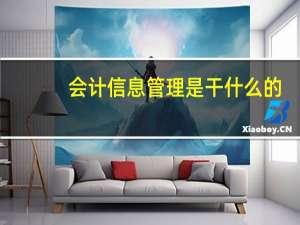 会计信息管理是干什么的