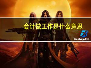 会计做工作是什么意思