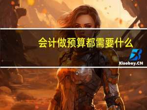 会计做预算都需要什么