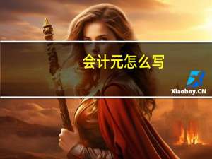 会计元怎么写