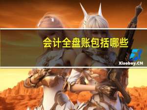 会计全盘账包括哪些