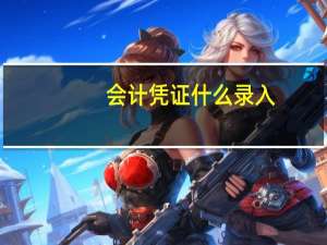会计凭证什么录入
