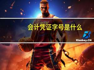 会计凭证字号是什么