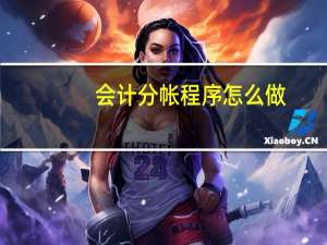 会计分帐程序怎么做