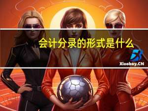 会计分录的形式是什么