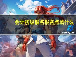会计初级报名报名点填什么