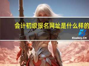 会计初级报名网址是什么样的