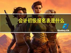 会计初级报名表是什么