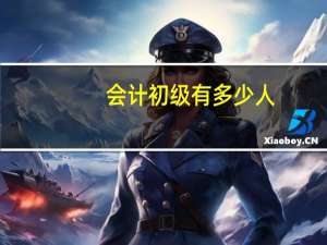 会计初级有多少人
