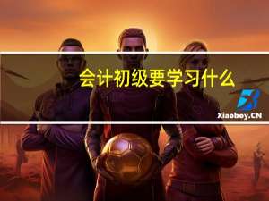 会计初级要学习什么