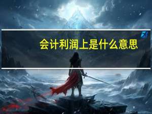 会计利润上是什么意思
