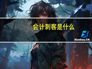 会计刺客是什么