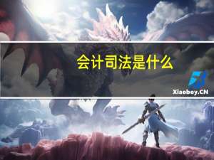 会计司法是什么