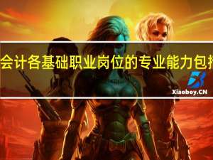 会计各基础职业岗位的专业能力包括哪些
