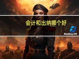 会计和出纳哪个好