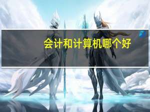 会计和计算机 哪个好