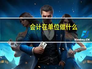 会计在单位做什么