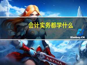会计实务都学什么
