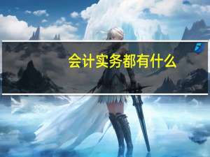 会计实务都有什么