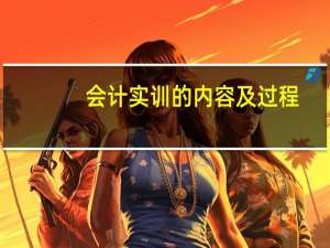 会计实训的内容及过程