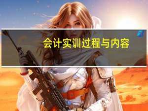 会计实训过程与内容