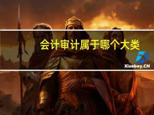 会计审计属于哪个大类