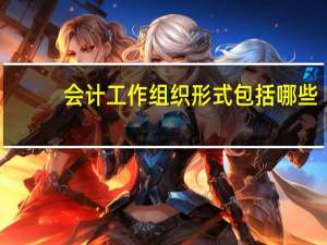 会计工作组织形式包括哪些