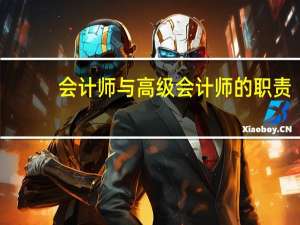 会计师与高级会计师的职责
