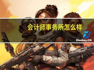 会计师事务所怎么样