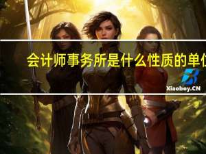 会计师事务所是什么性质的单位