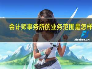 会计师事务所的业务范围是怎样的