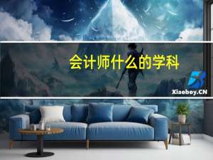 会计师什么的学科