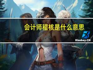 会计师稽核是什么意思