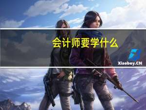 会计师要学什么