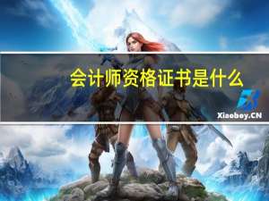 会计师资格证书是什么