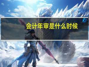 会计年审是什么时候